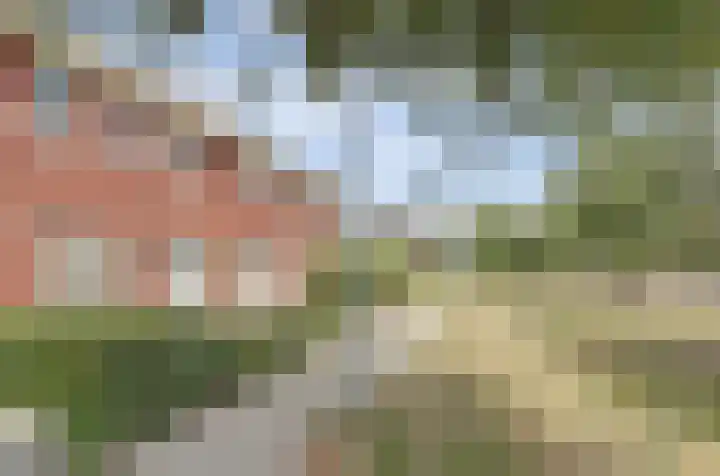 De Vriendschap 28 Zeewolde thumbnail 5