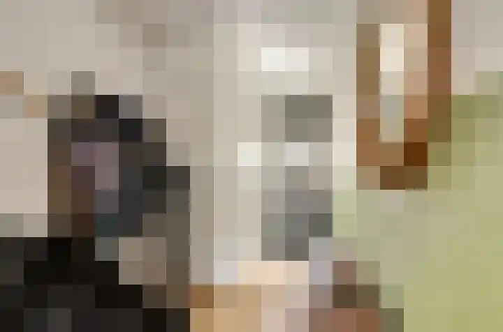 De Vriendschap 28 Zeewolde thumbnail 7