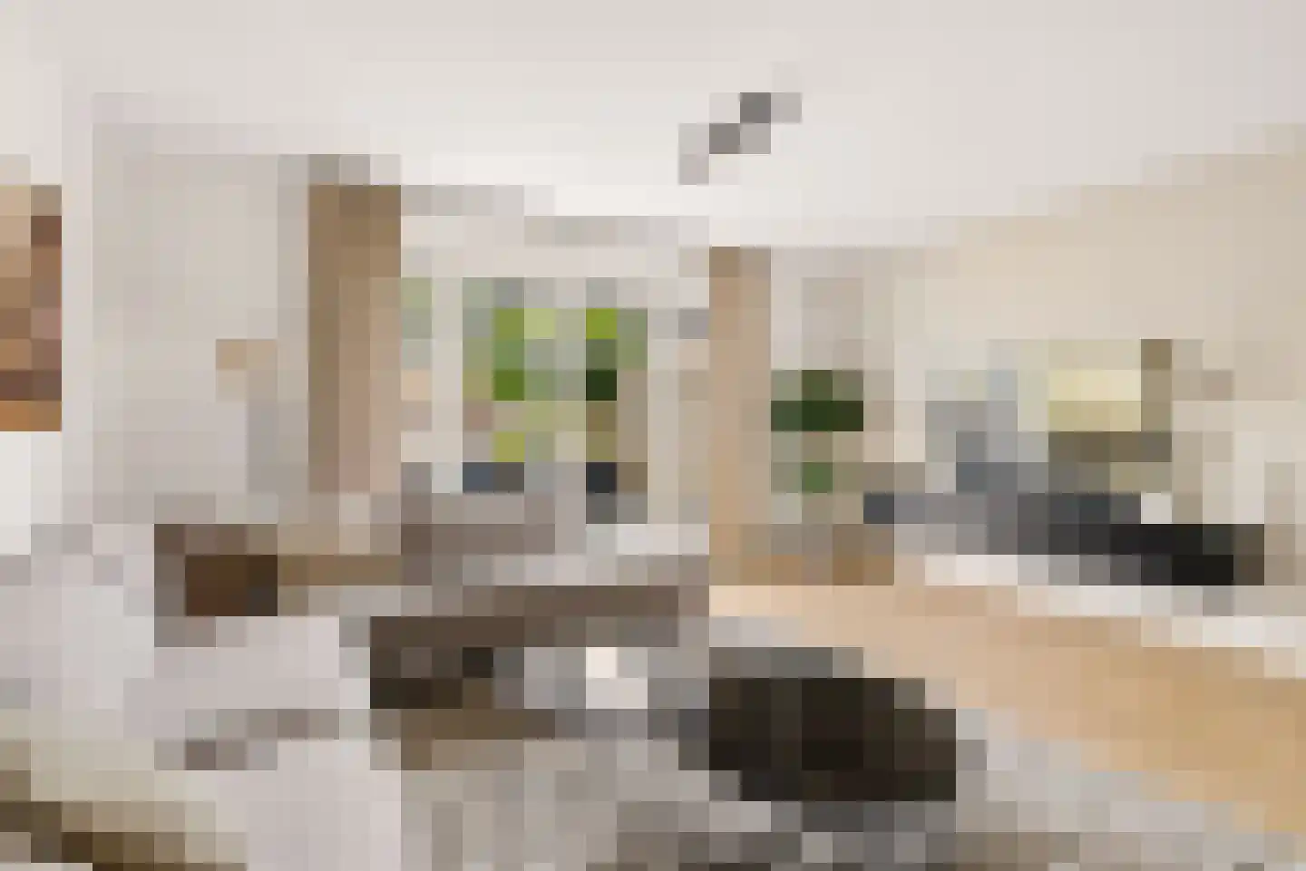 De Vriendschap 30 Zeewolde thumbnail 12
