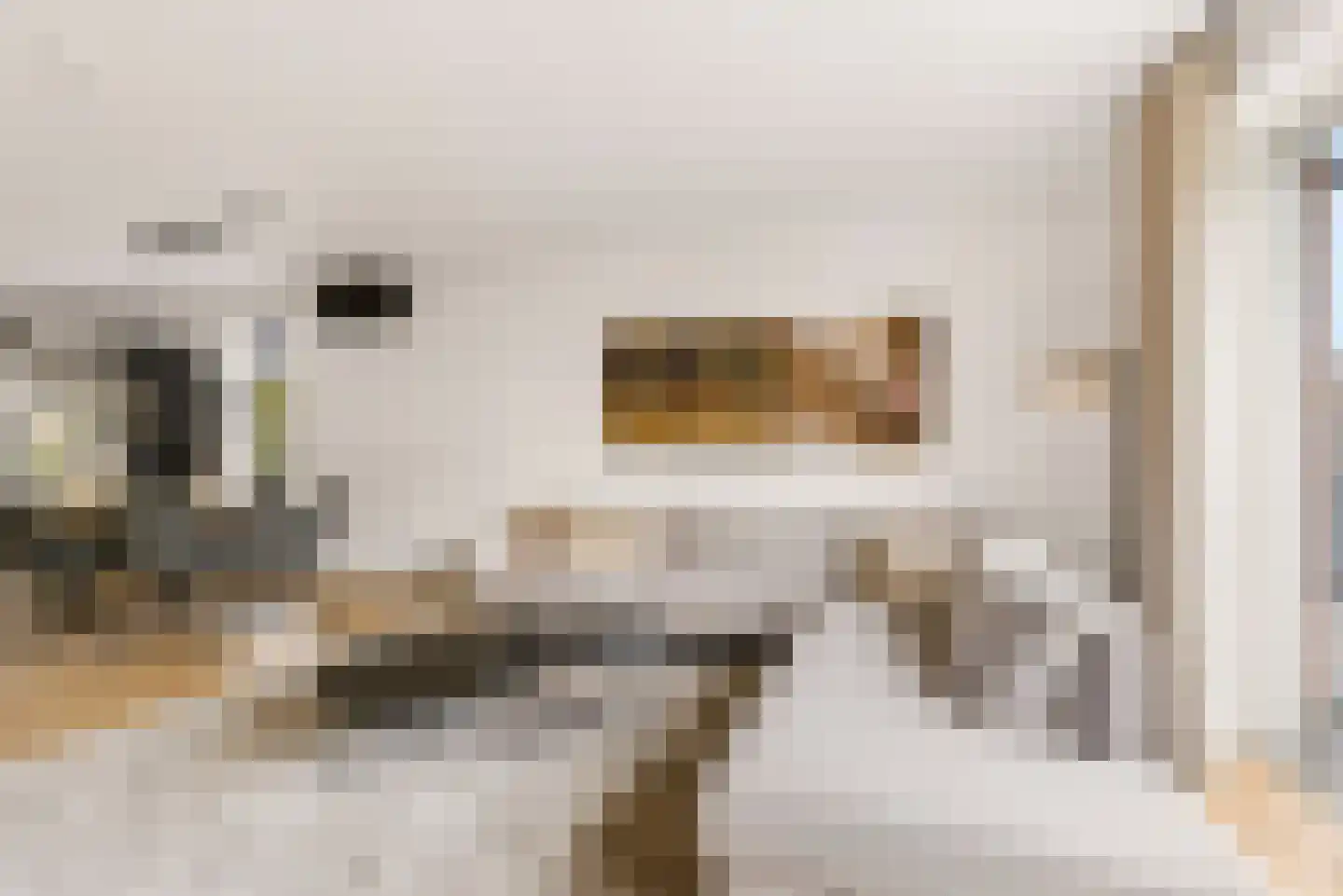 De Vriendschap 30 Zeewolde thumbnail 14