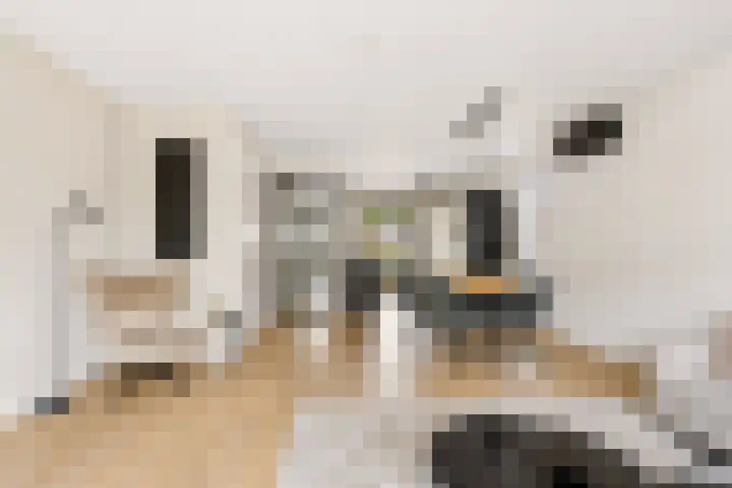 De Vriendschap 30 Zeewolde thumbnail 16