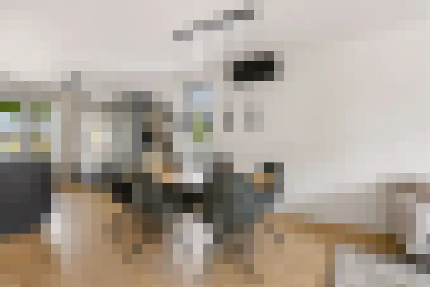 De Vriendschap 30 Zeewolde thumbnail 17
