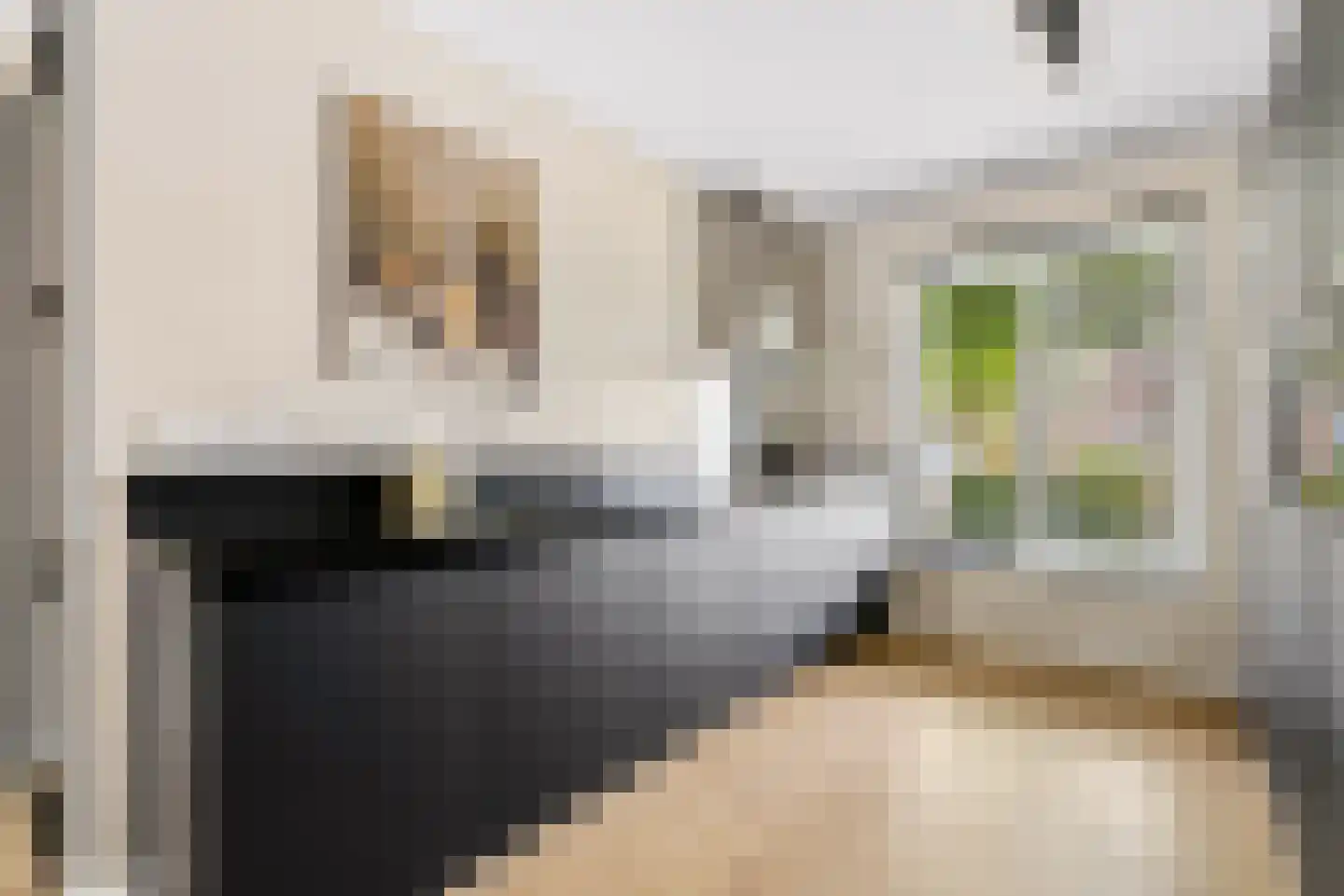 De Vriendschap 30 Zeewolde thumbnail 19