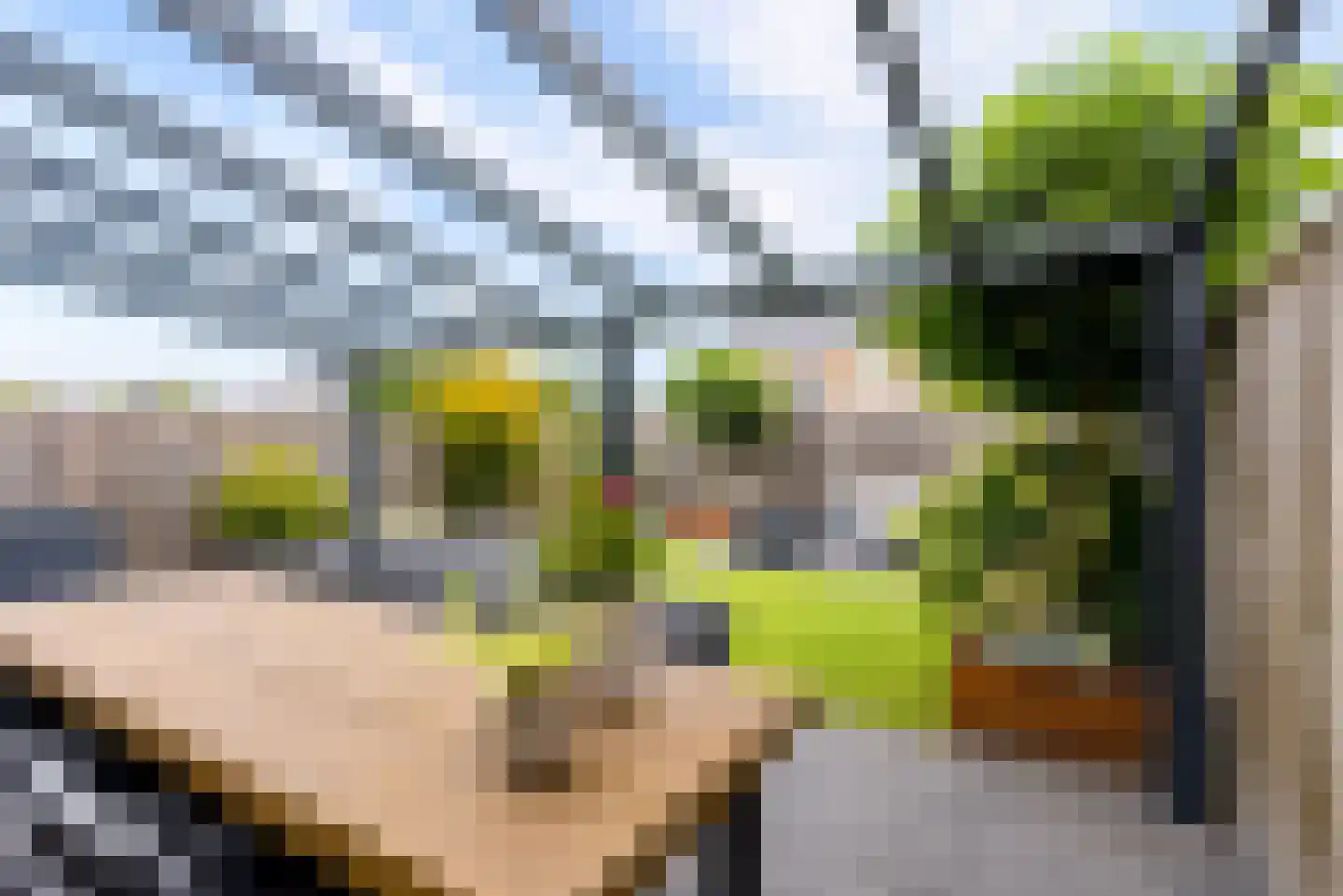 De Vriendschap 30 Zeewolde thumbnail 47