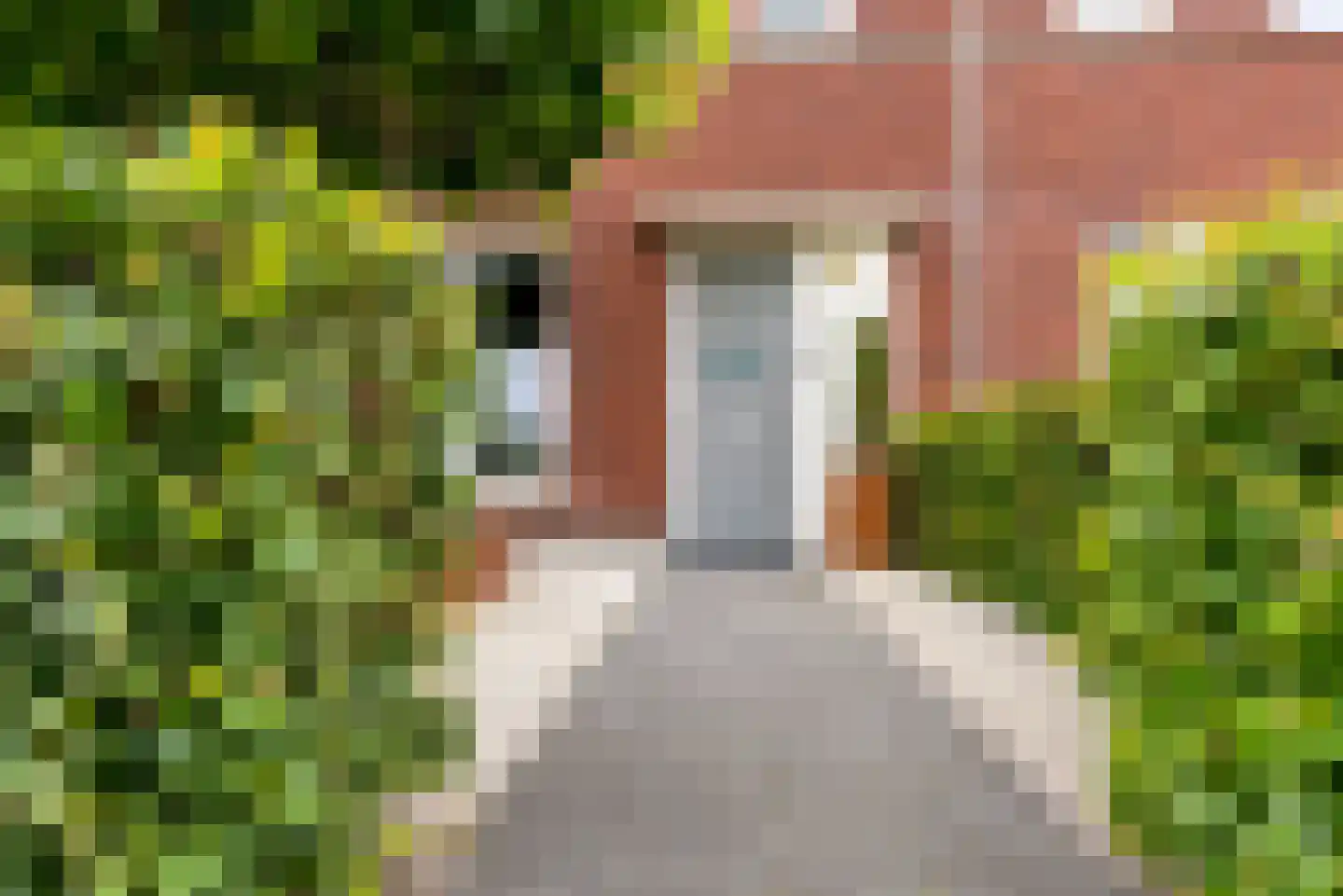 De Vriendschap 30 Zeewolde thumbnail 5