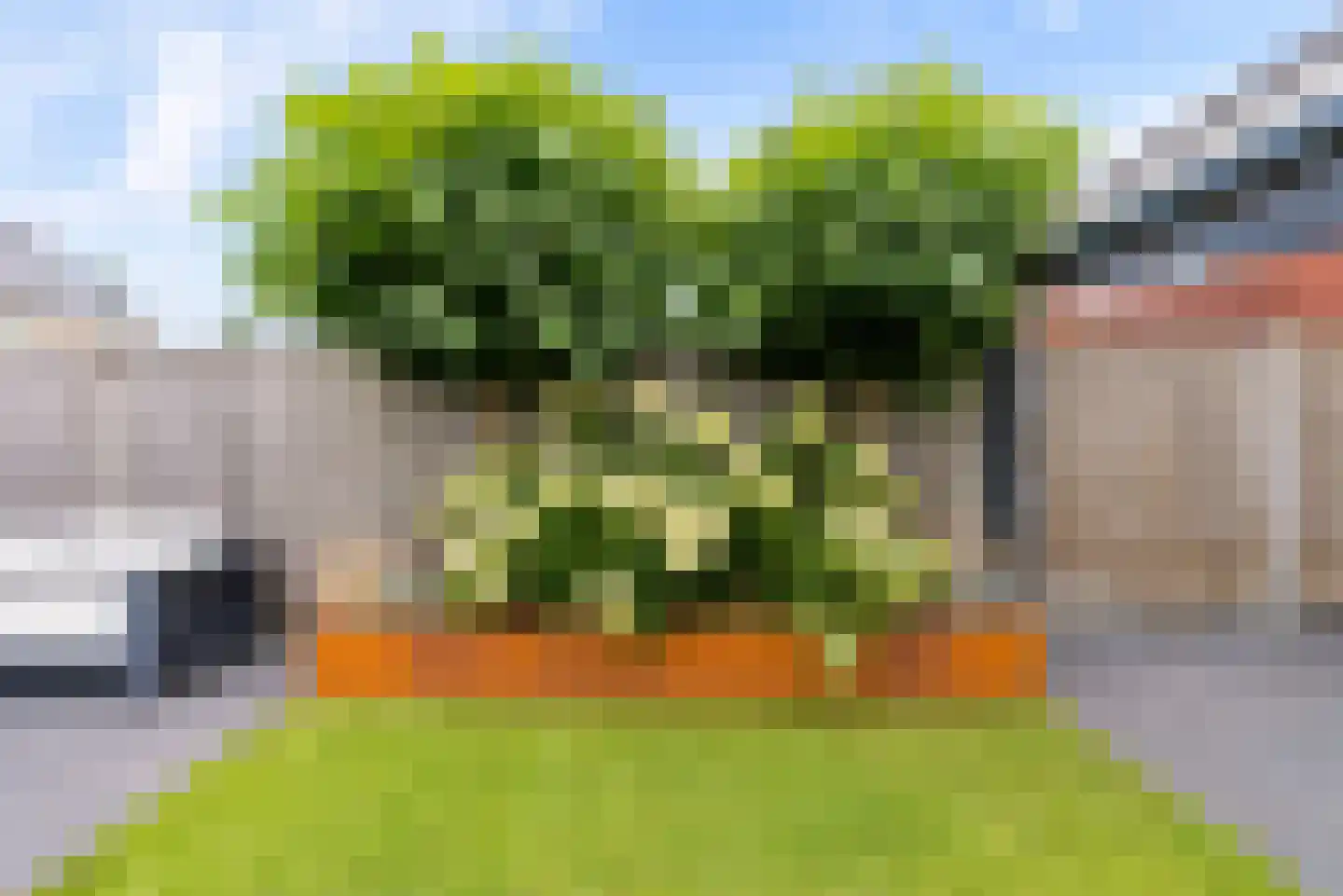 De Vriendschap 30 Zeewolde thumbnail 54