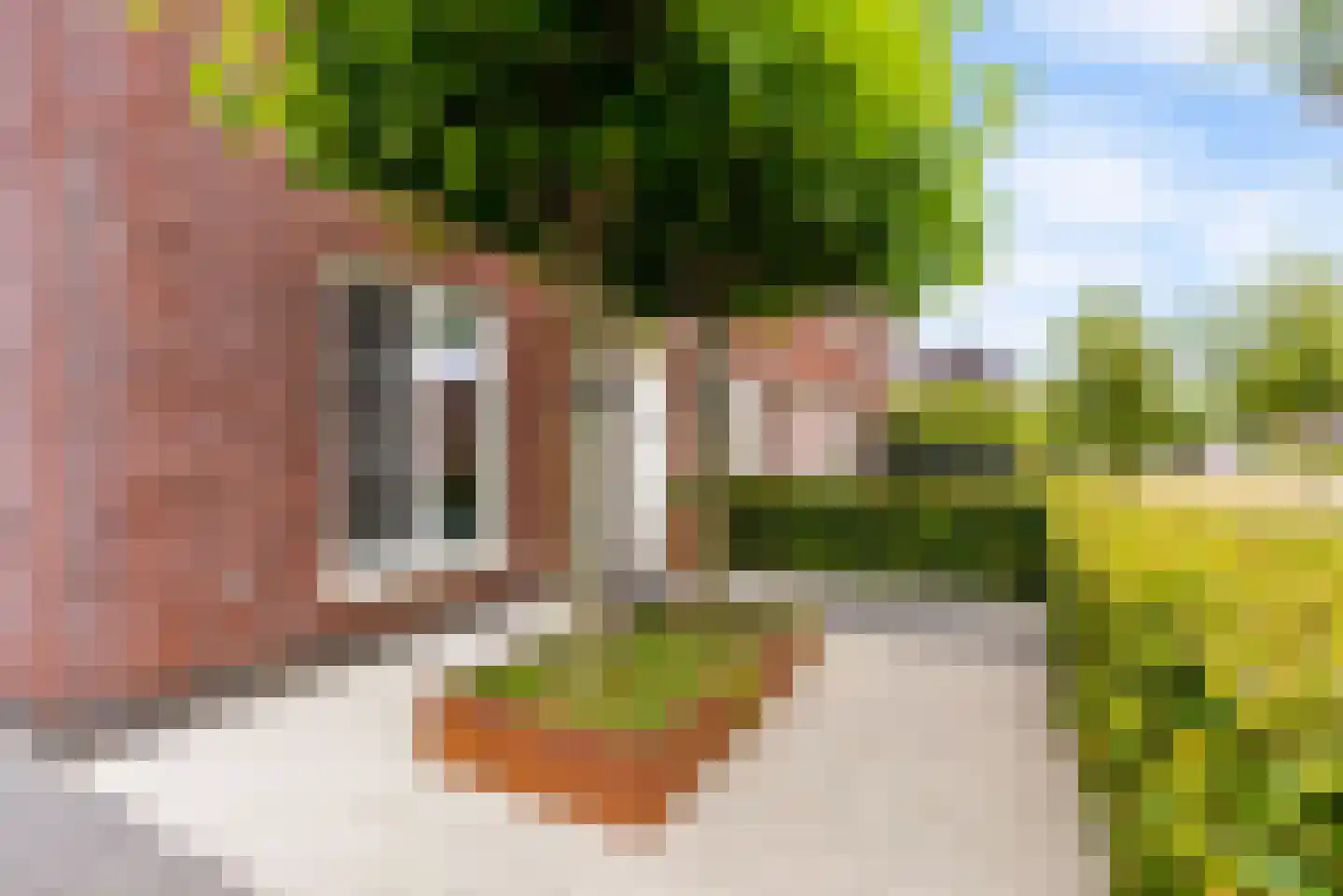 De Vriendschap 30 Zeewolde thumbnail 62