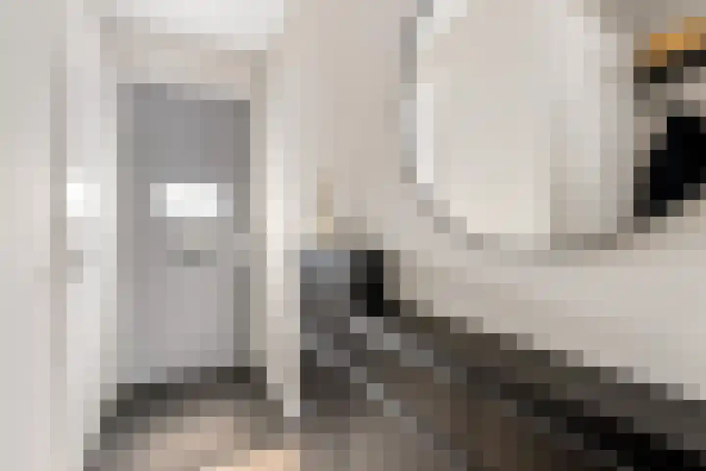 De Vriendschap 30 Zeewolde thumbnail 8