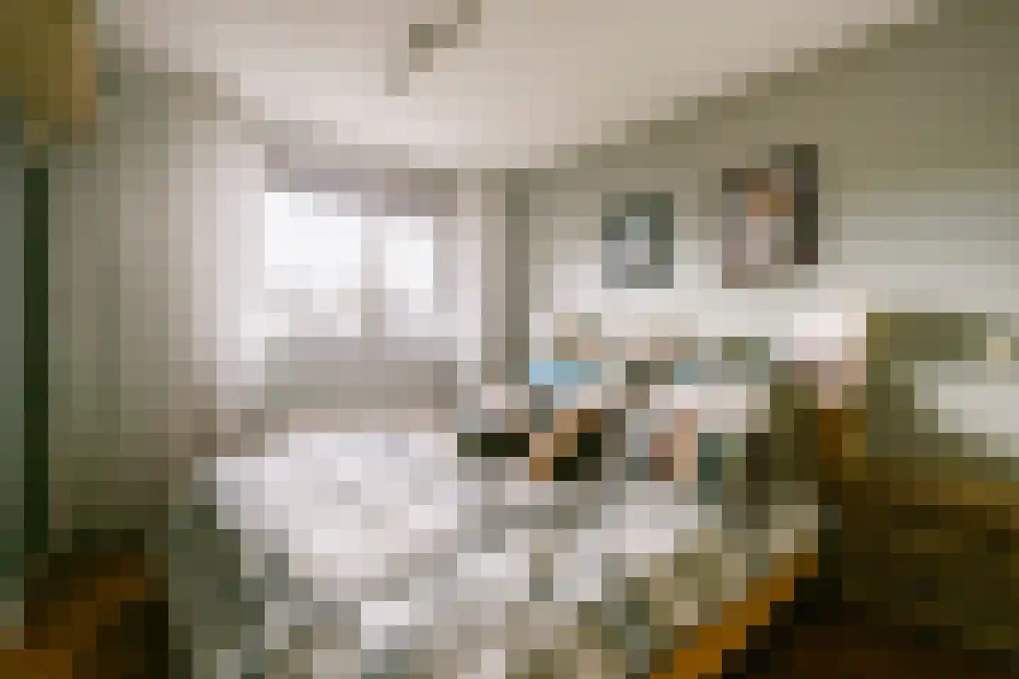 De Vriendschap 37 Amstelveen thumbnail 10