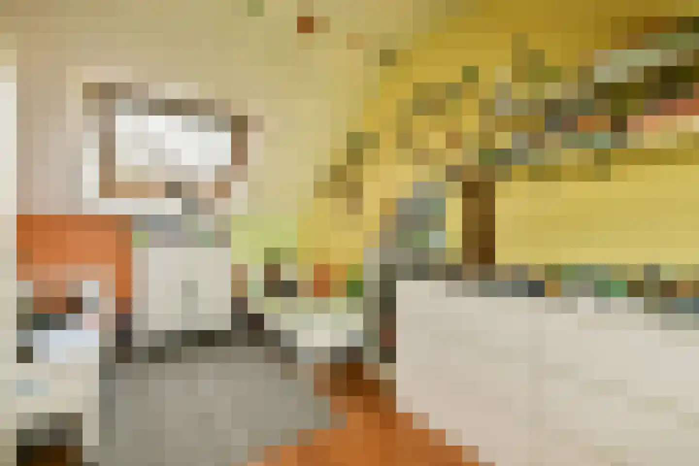 De Vriendschap 37 Amstelveen thumbnail 15
