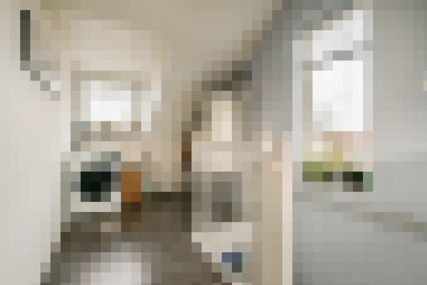 De Vriendschap 37 Amstelveen thumbnail 17