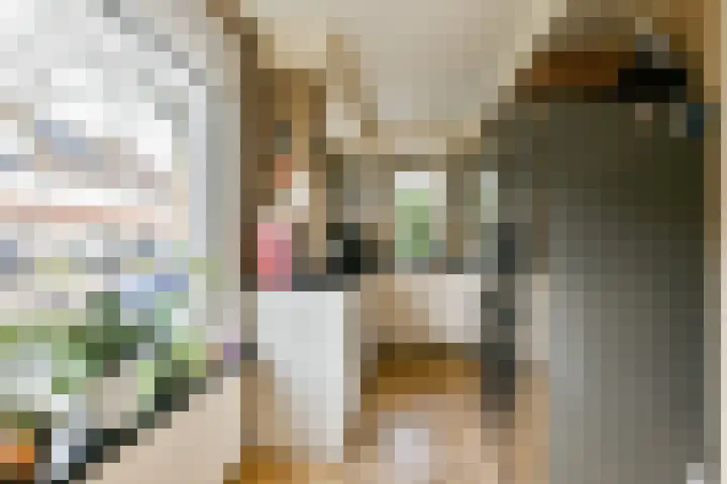 De Vriendschap 37 Amstelveen thumbnail 5