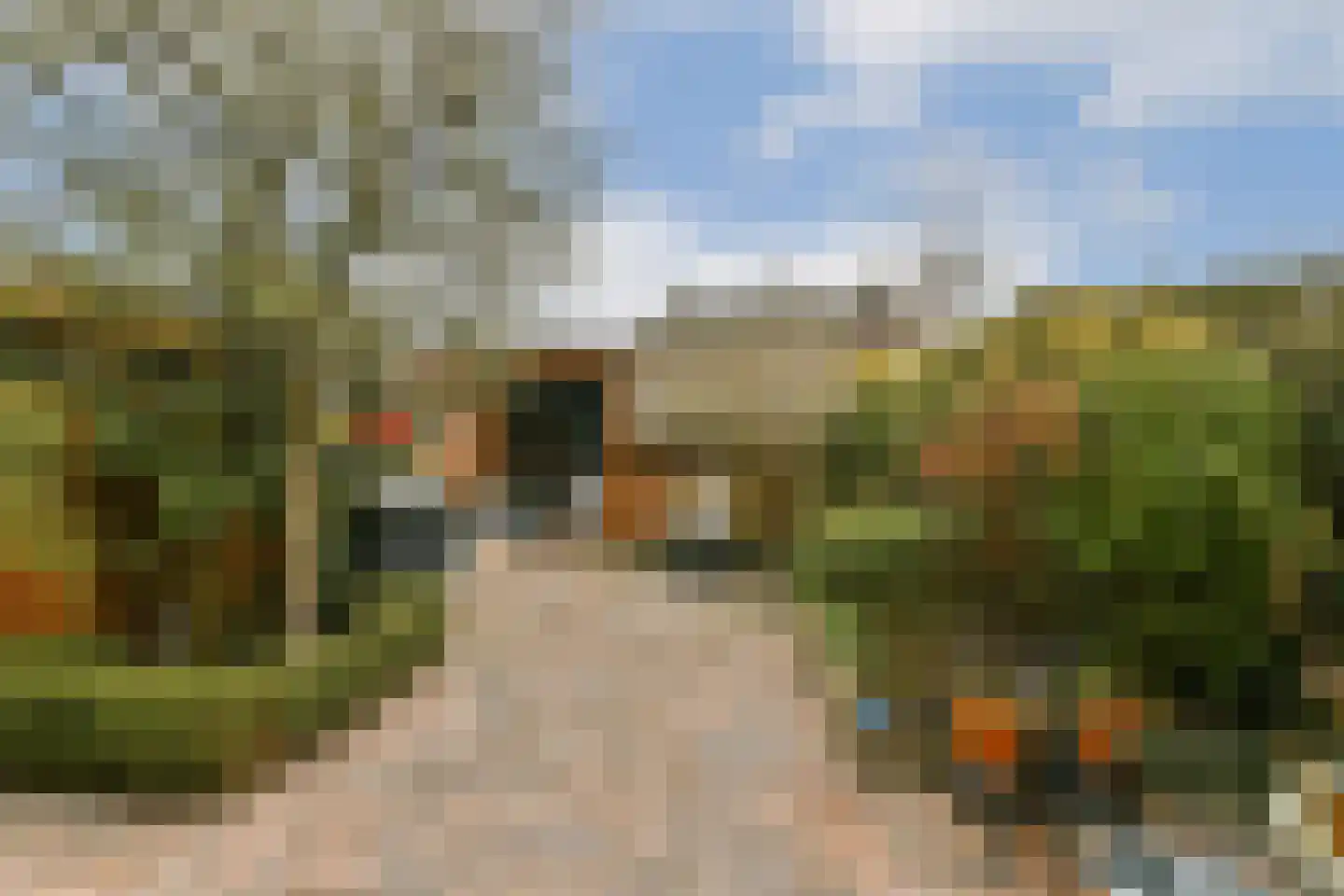 De Vriendschap 37 Amstelveen thumbnail 7