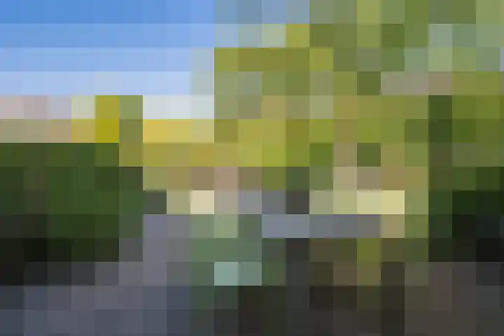 De Vriendschap 41 Amstelveen thumbnail 39