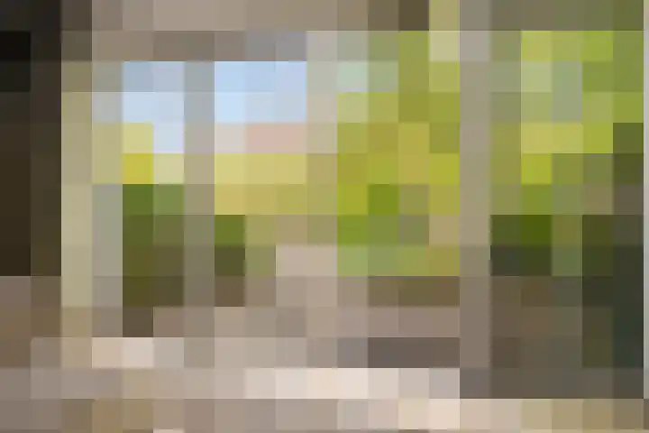 De Vriendschap 41 Amstelveen thumbnail 5