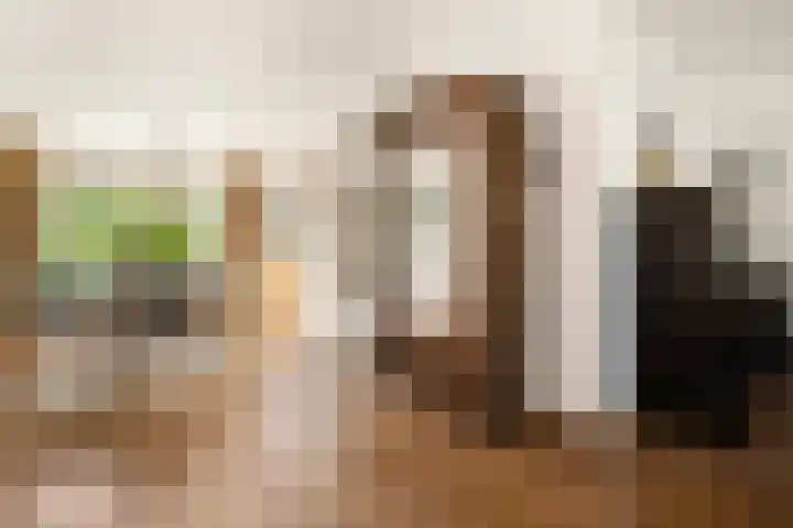 De Vriendschap 41 Amstelveen thumbnail 9