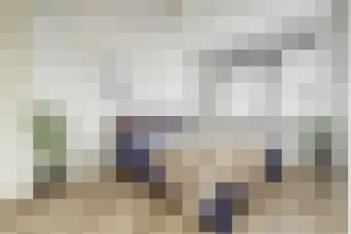 De Vriendschap 42 Zeewolde thumbnail 17