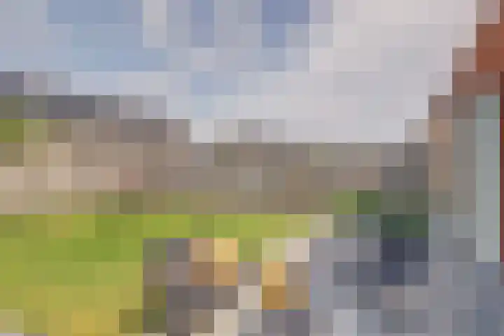 De Vriendschap 42 Zeewolde thumbnail 29