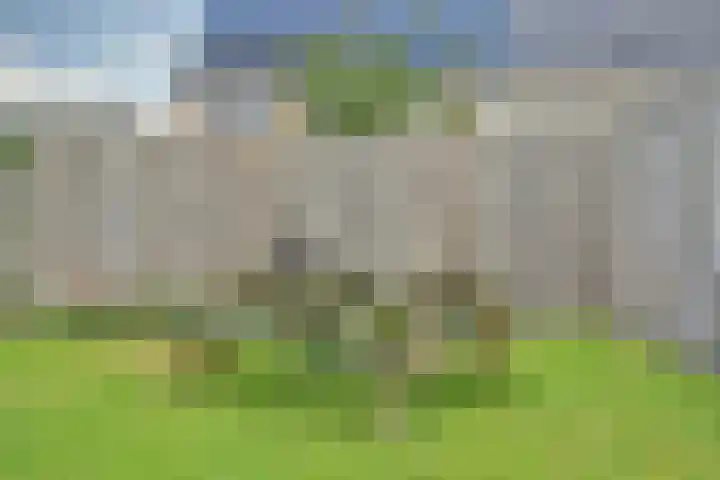 De Vriendschap 42 Zeewolde thumbnail 31