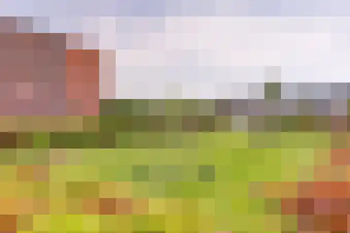 De Vriendschap 42 Zeewolde thumbnail 36