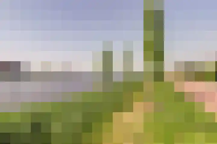 De Vriendschap 42 Zeewolde thumbnail 38