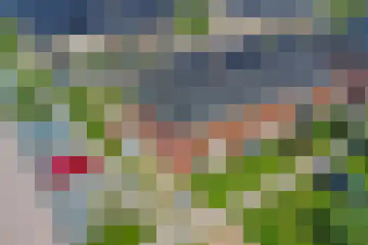 De Vriendschap 42 Zeewolde thumbnail 41