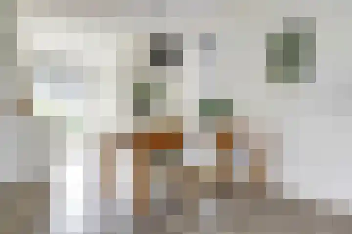 De Vriendschap 42 Zeewolde thumbnail 9