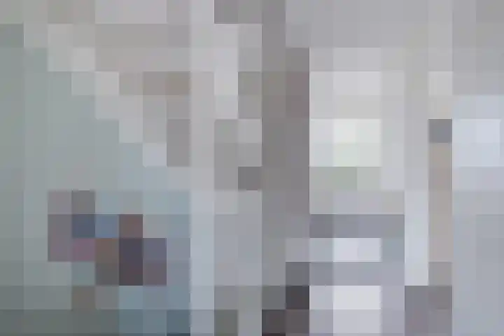 De Vriendschap 6 Nibbixwoud thumbnail 15