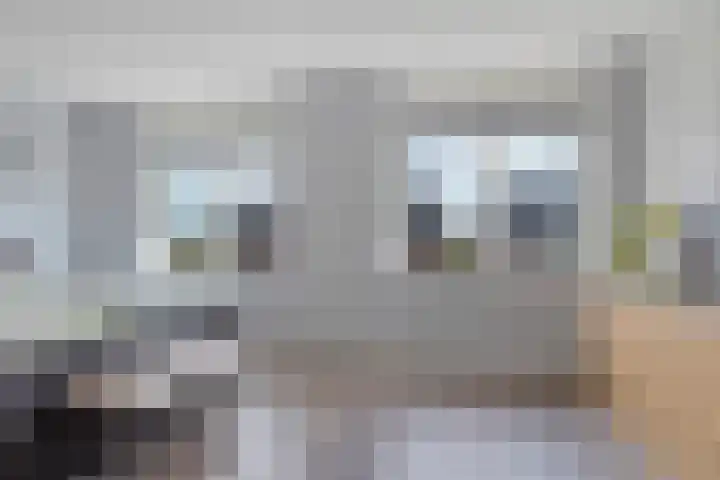 De Vriendschap 6 Nibbixwoud thumbnail 17