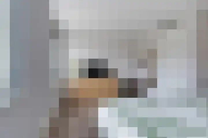 De Vriendschap 6 Nibbixwoud thumbnail 18