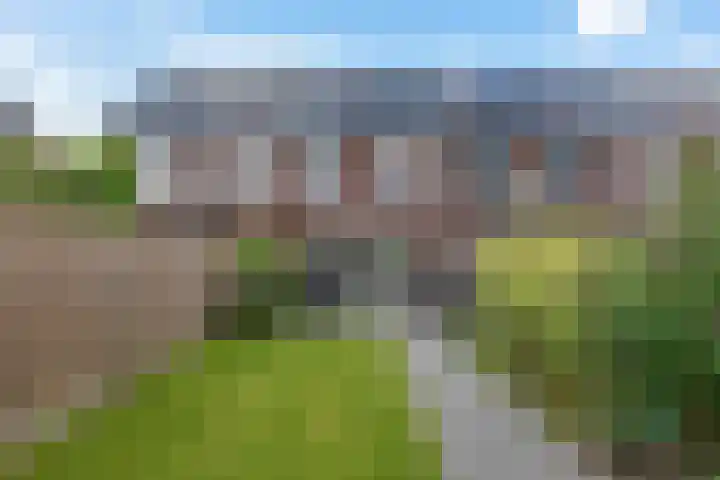 De Vriendschap 6 Nibbixwoud foto 2