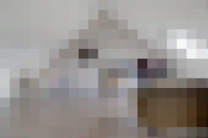 De Vriendschap 6 Nibbixwoud thumbnail 25