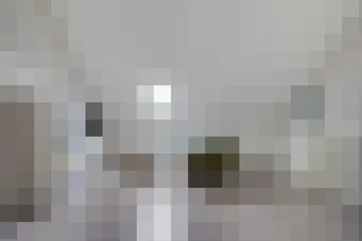 De Vriendschap 6 Nibbixwoud thumbnail 26