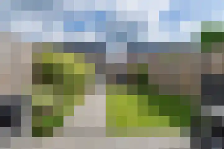 De Vriendschap 6 Nibbixwoud thumbnail 29