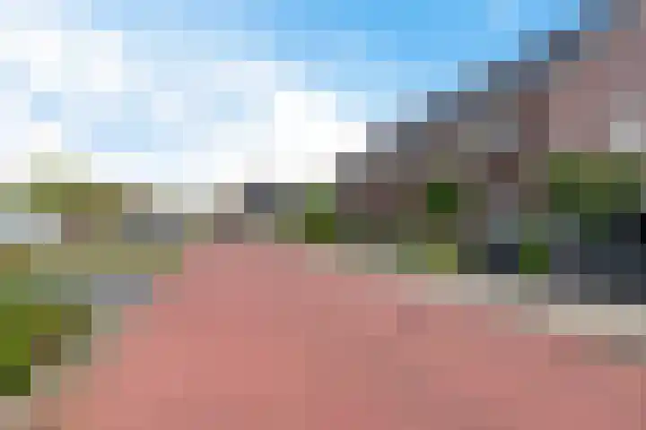 De Vriendschap 6 Nibbixwoud thumbnail 33