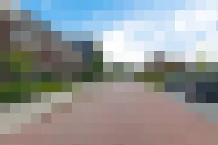 De Vriendschap 6 Nibbixwoud thumbnail 34