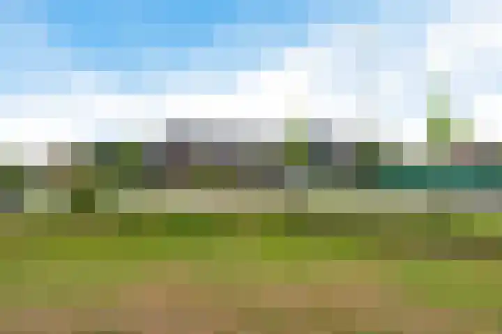 De Vriendschap 6 Nibbixwoud thumbnail 35