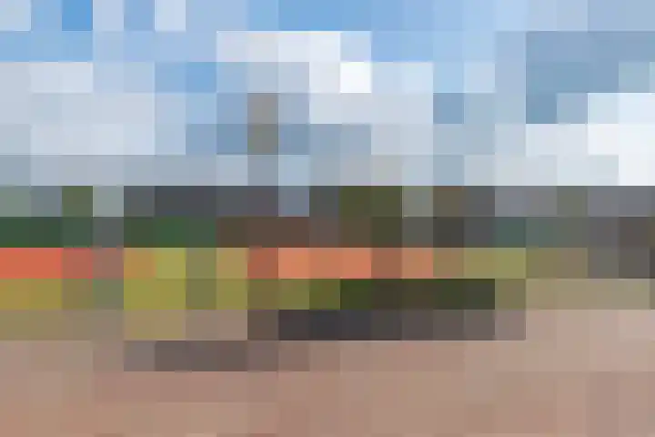 De Vriendschap 6 Nibbixwoud thumbnail 36