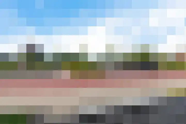 De Vriendschap 6 Nibbixwoud thumbnail 37