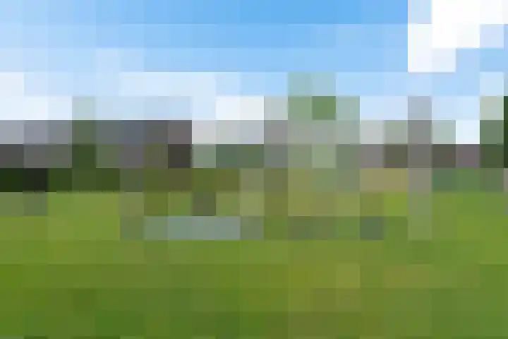 De Vriendschap 6 Nibbixwoud thumbnail 38