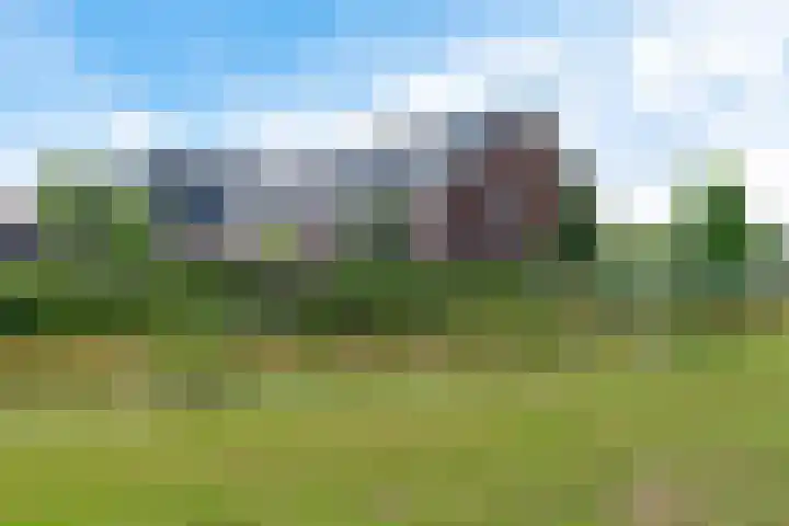 De Vriendschap 6 Nibbixwoud thumbnail 39