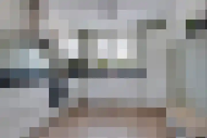 De Vriendschap 6 Nibbixwoud thumbnail 4