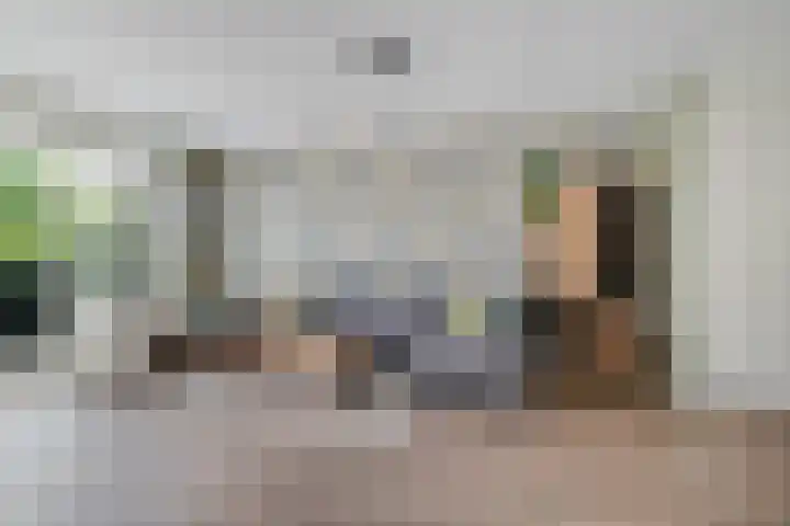 De Vriendschap 6 Nibbixwoud thumbnail 6
