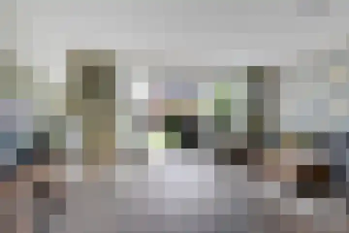 De Vriendschap 6 Nibbixwoud thumbnail 7