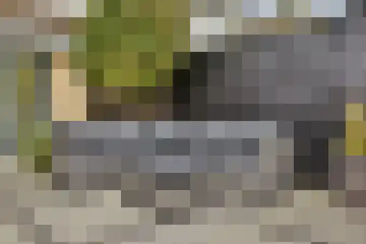 De Vriendschap 7 Amstelveen thumbnail 14