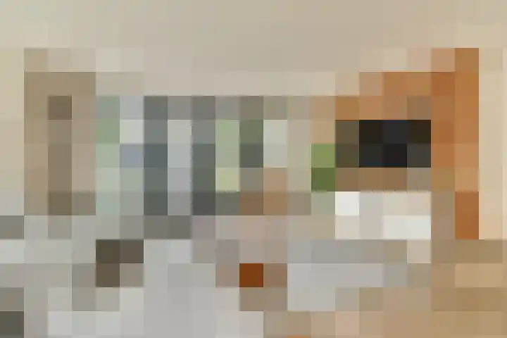 De Vriendschap 7 Amstelveen thumbnail 4