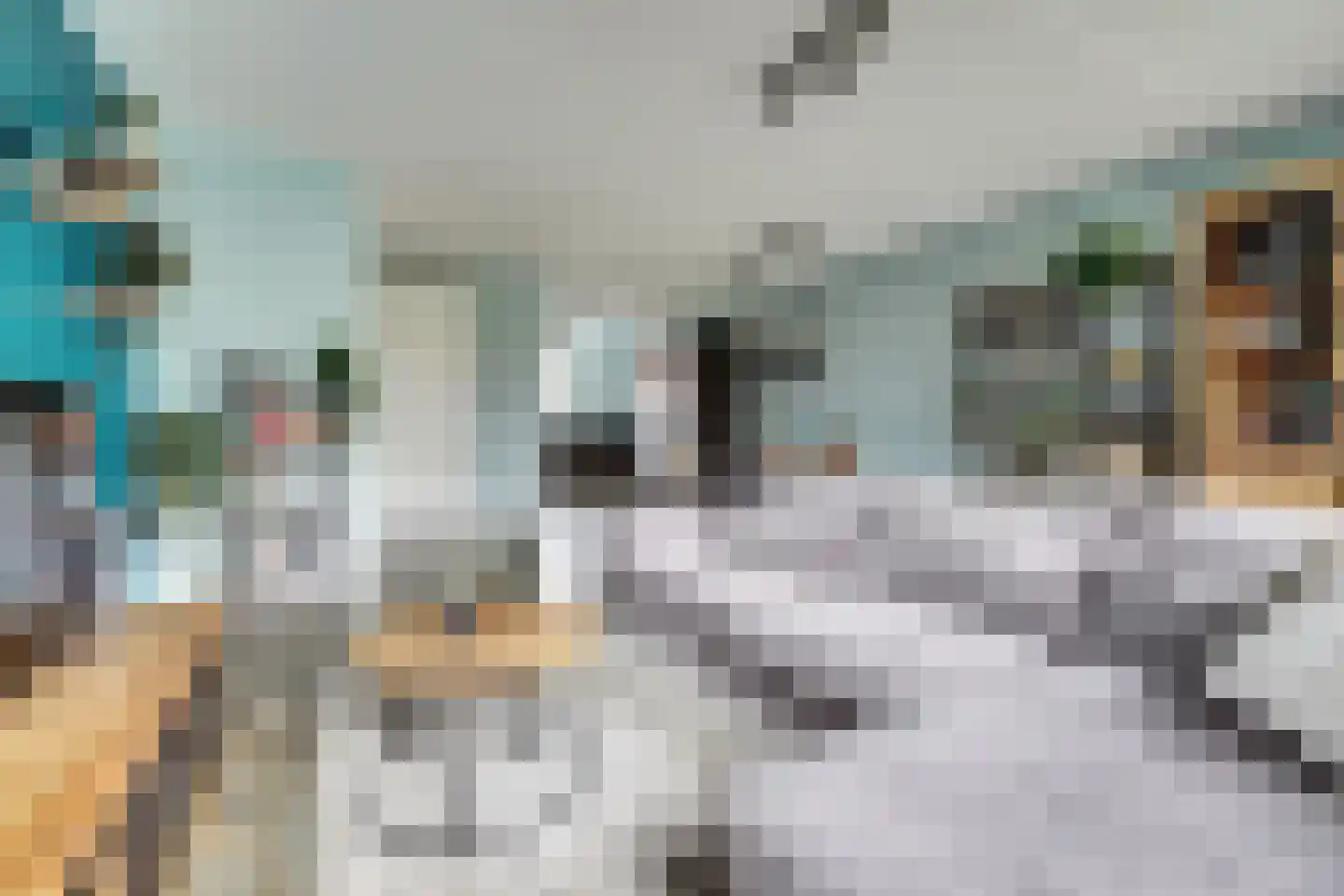 De Vriendschap 8 Zeewolde thumbnail 11