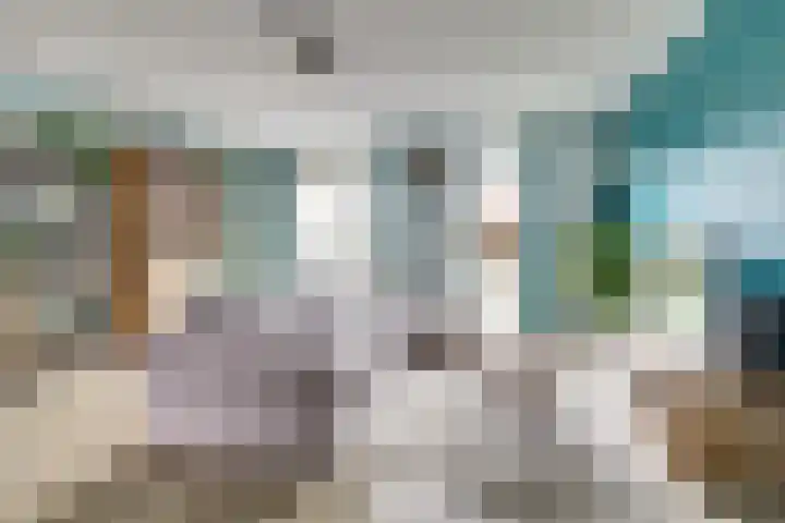 De Vriendschap 8 Zeewolde thumbnail 12