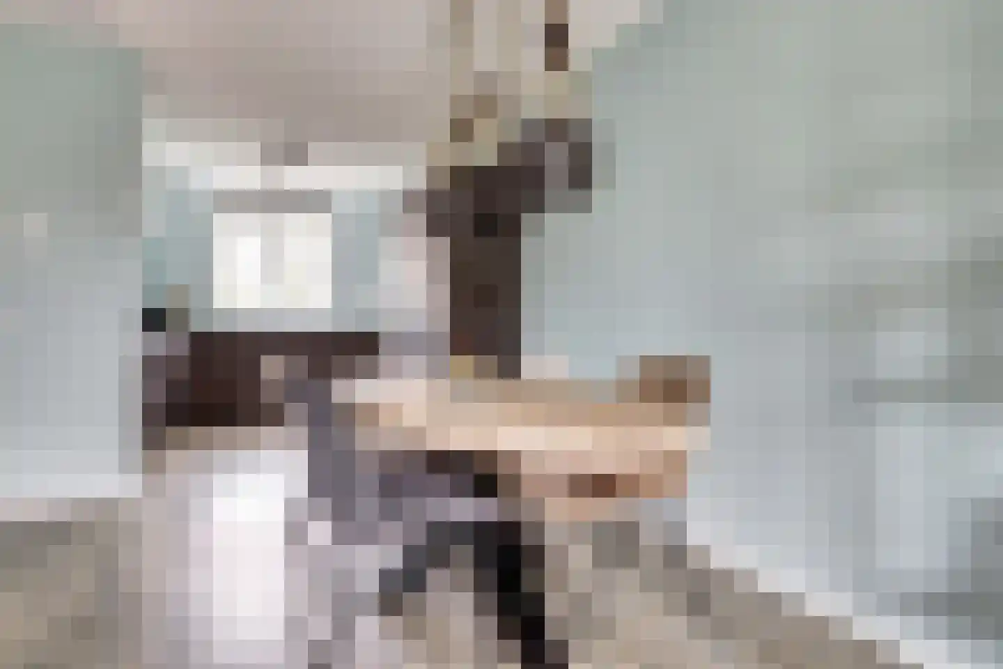 De Vriendschap 8 Zeewolde thumbnail 14
