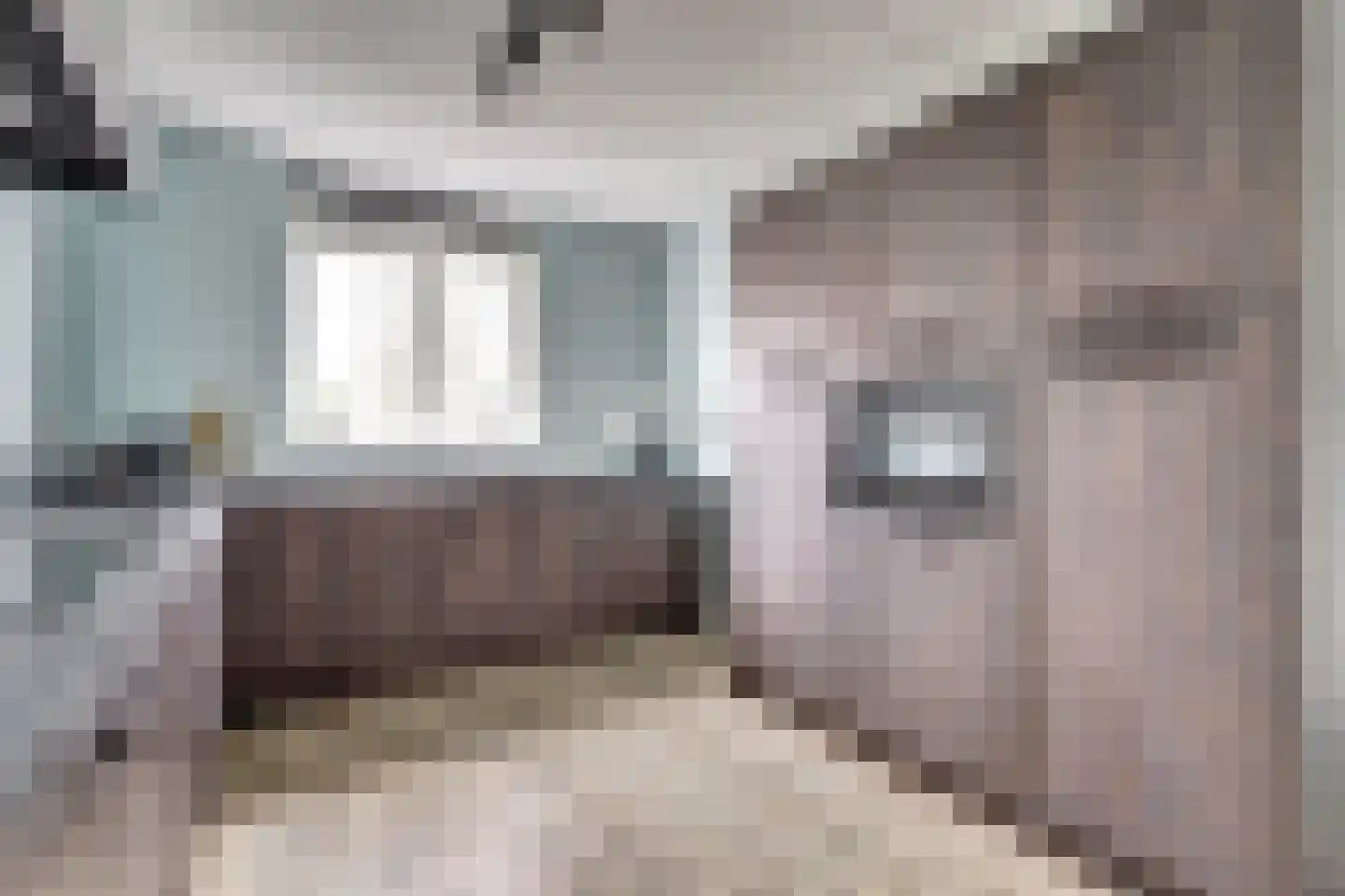 De Vriendschap 8 Zeewolde thumbnail 16